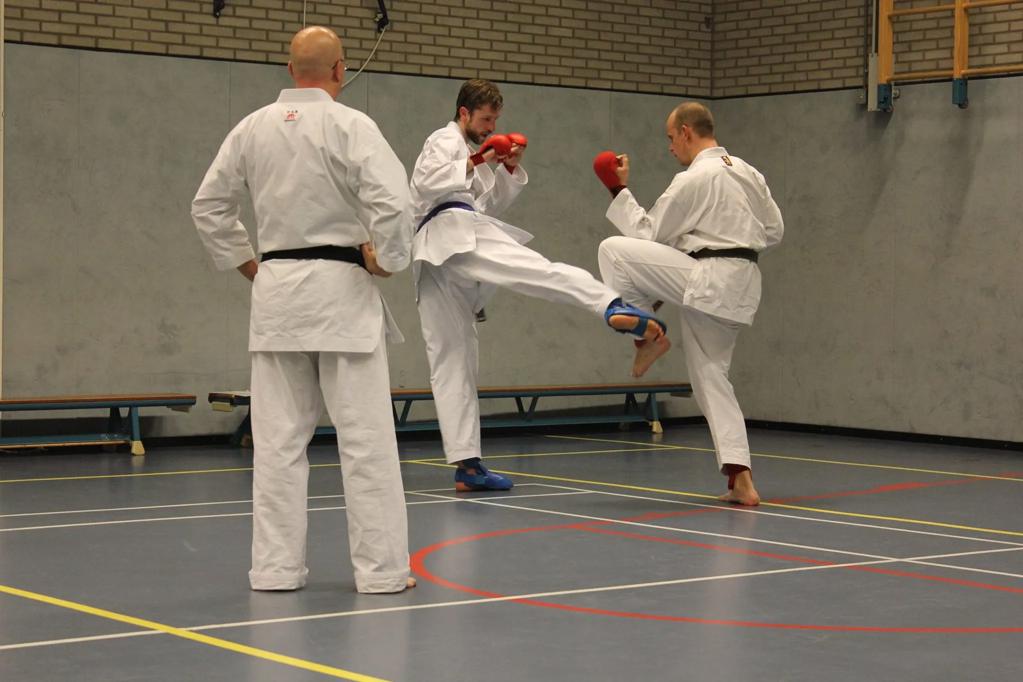 Karate-Do Goshin