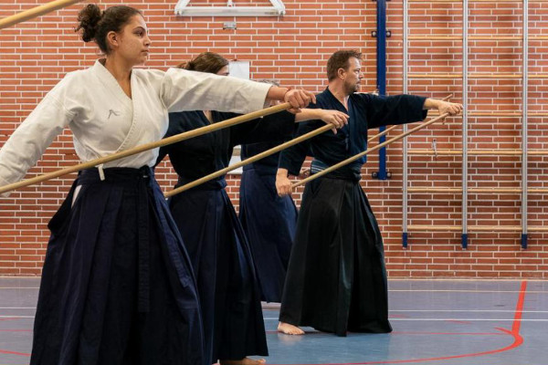 Stichting Dojo Kaizen