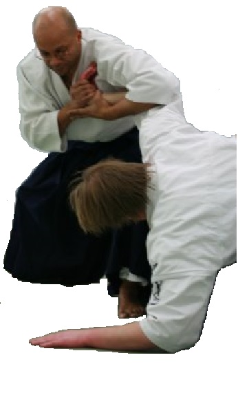 Ki-Musubi Aikido Instituut
