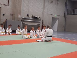 Arashi Budo