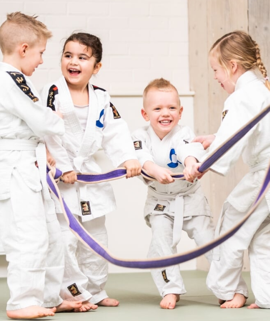 Judo- en jiujitsuvereniging Shizen Hontai