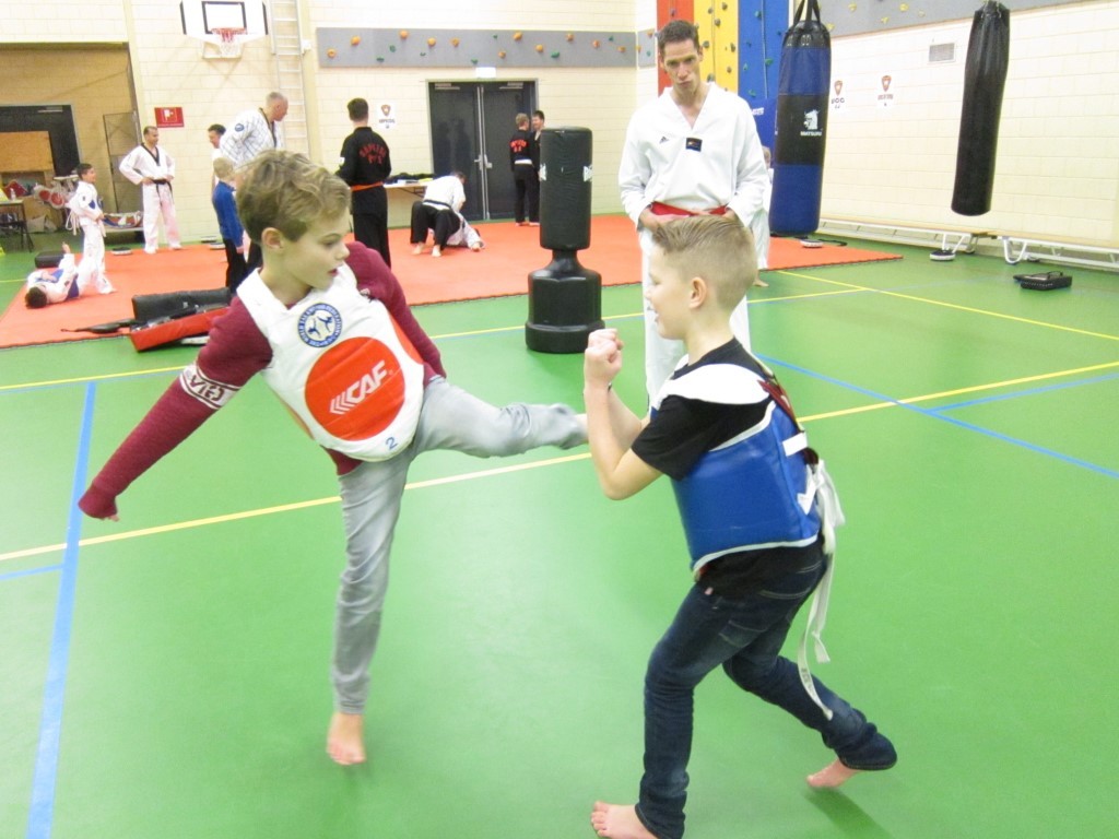 Taekwondo en Hapkido Vereniging Yu Sin Kwon