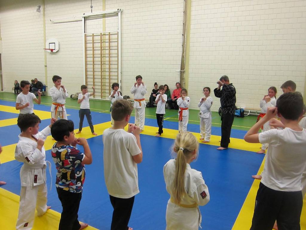 Taekwondo en Hapkido Vereniging Yu Sin Kwon