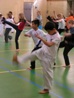 Capoeira Uithoorn — Alphen aan den Rijn