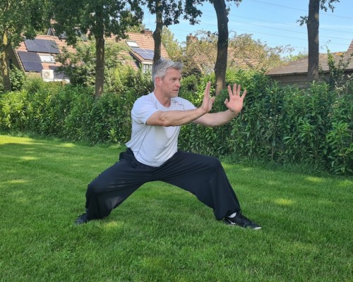Kung Fu Nijs