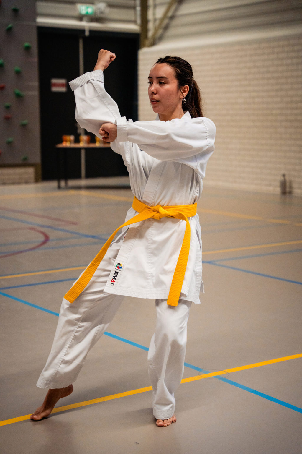 Kaizen Karate