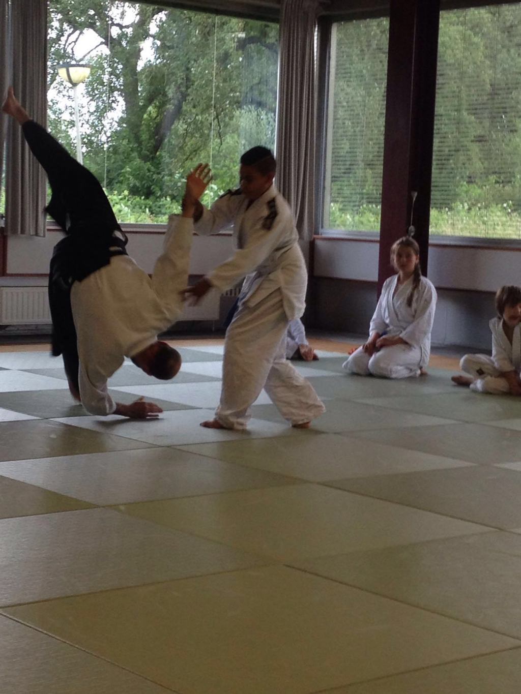 Aikidoschool Sankaku