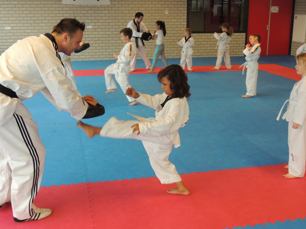 Taekwondoschool Louis van Esch