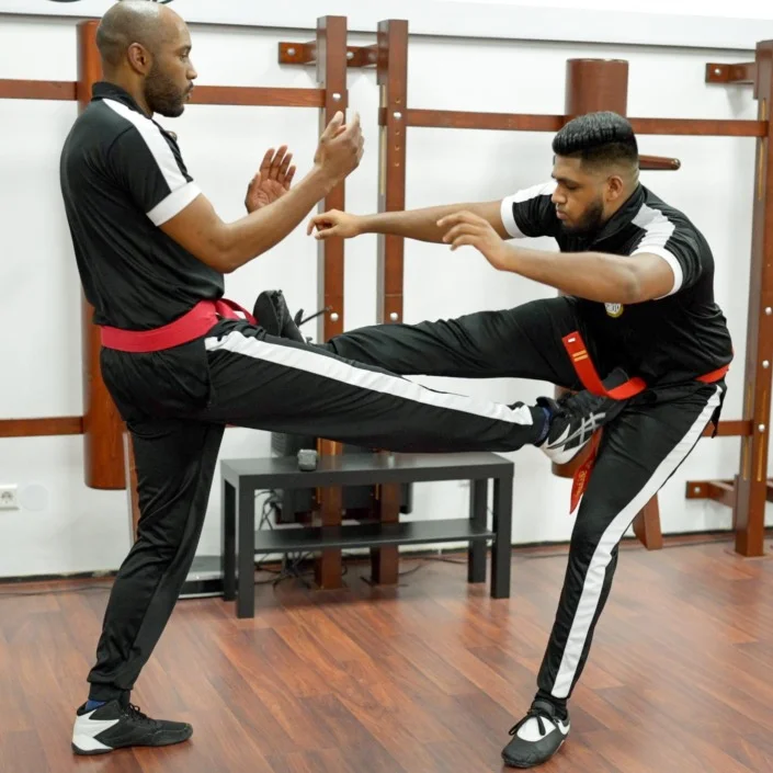 Nederlandse Wing Chun Federatie