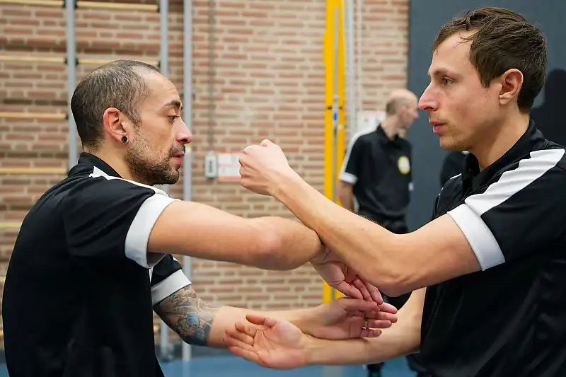 Nederlandse Wing Chun Federatie