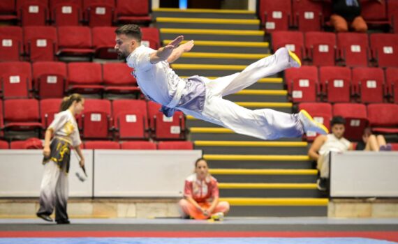 Danla Shaolin Gongfu