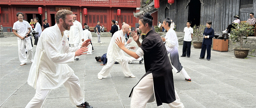 Wudao Kungfu — Utrecht