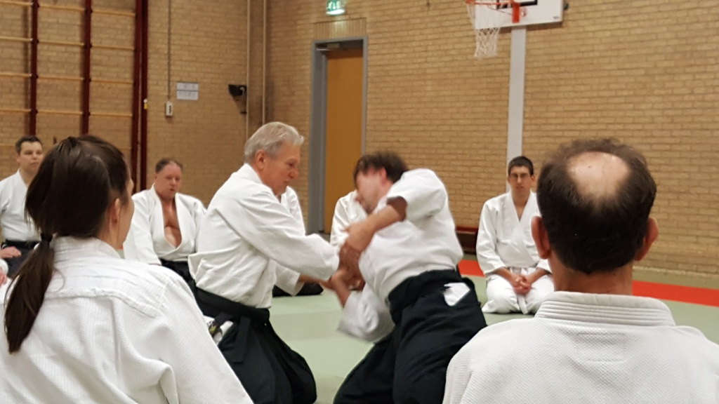 Aikido Stichting Delft