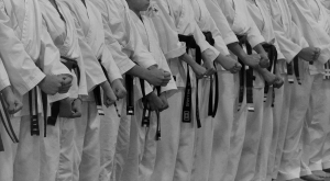 Omega Martial Arts