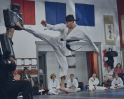 Omega Martial Arts
