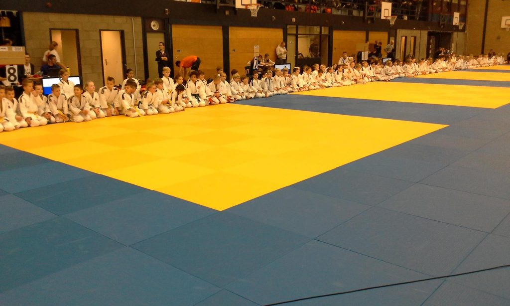 Rens Holleman Judo