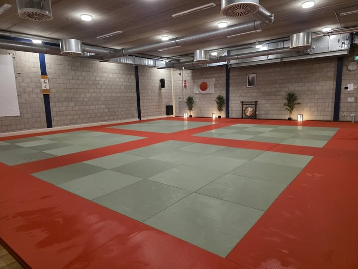 Rens Holleman Judo