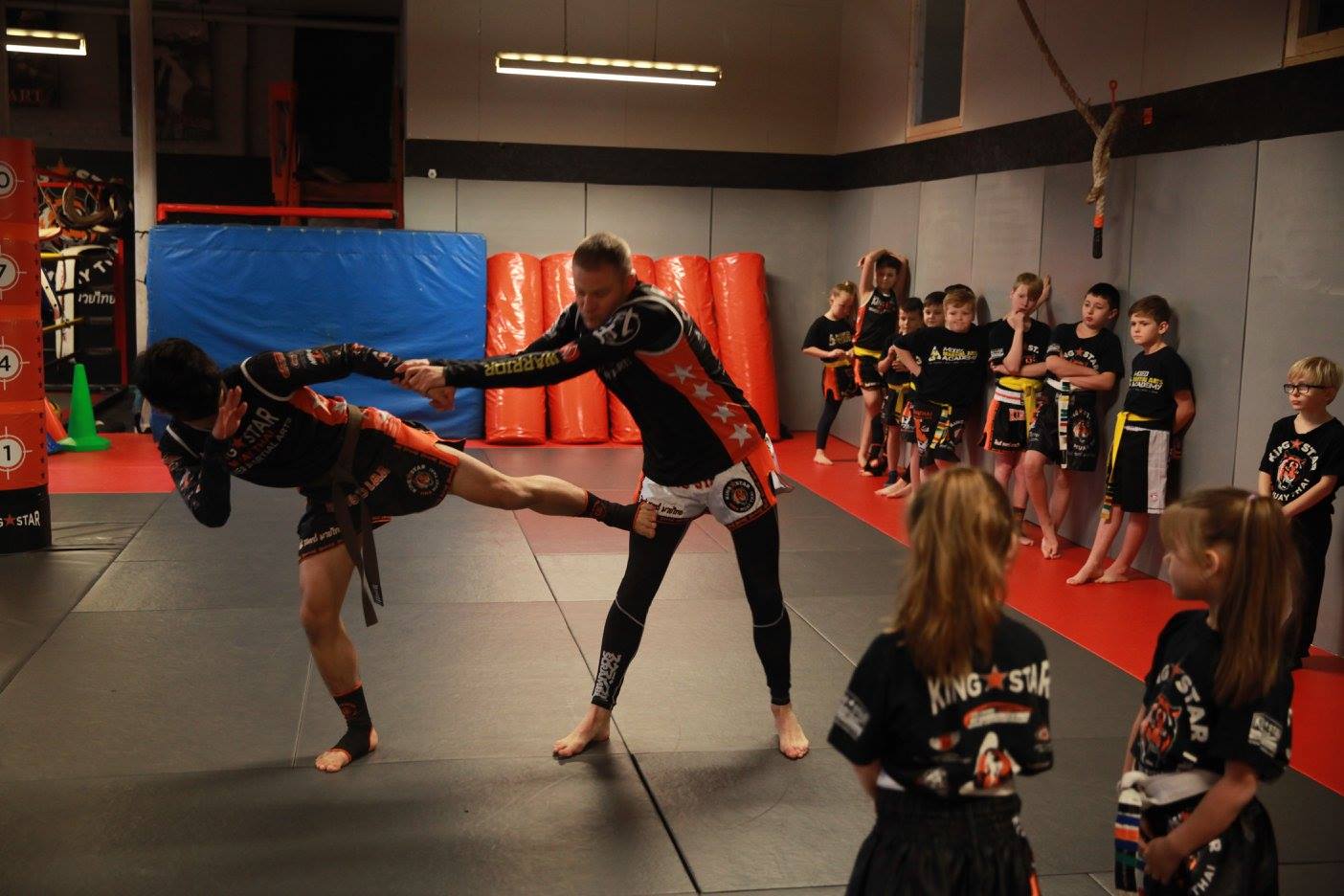 Kingstar MMA
