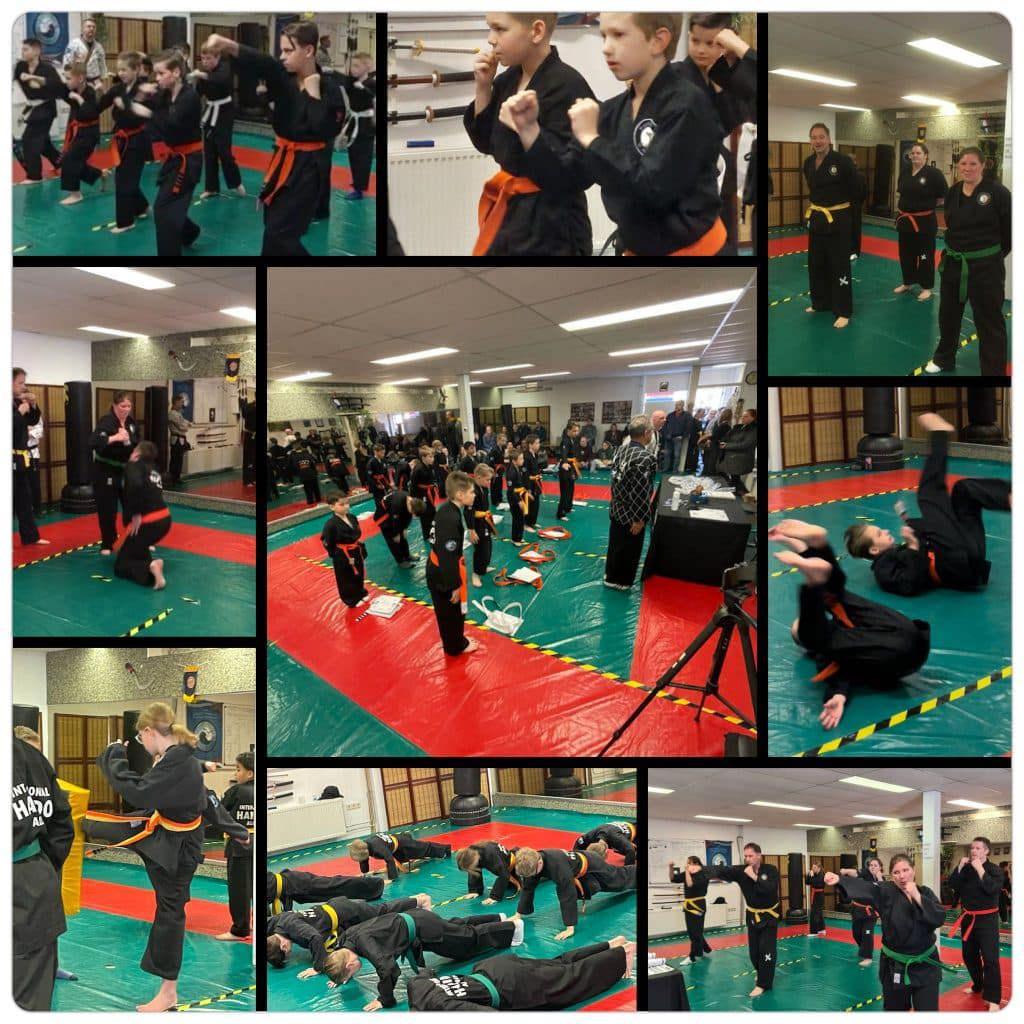 Hapkido Yong