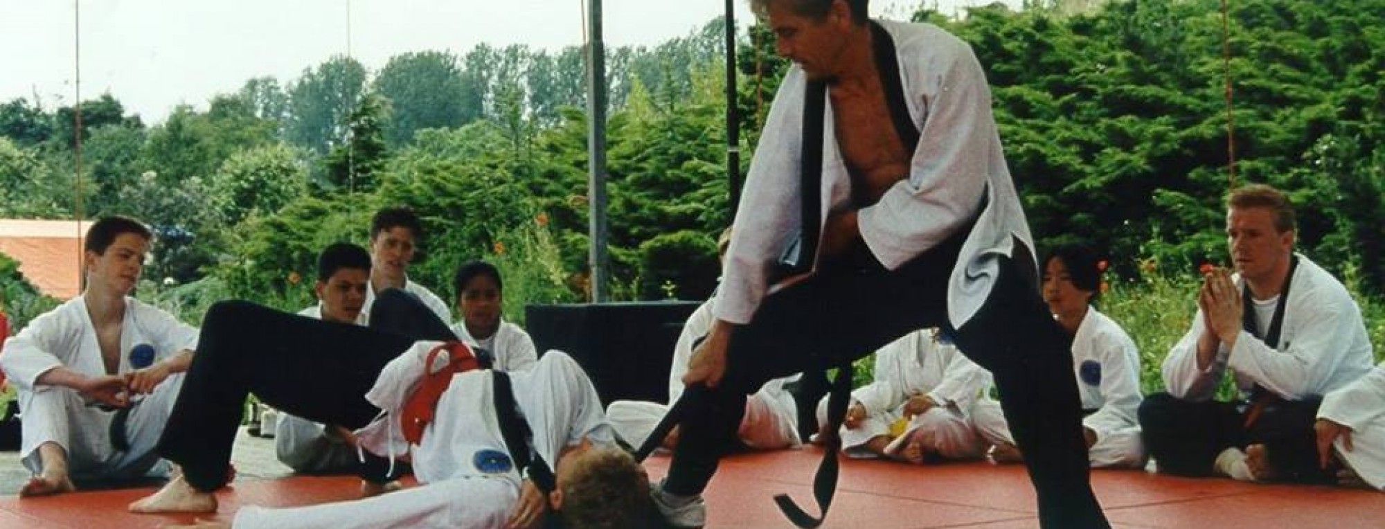 Nederlandse Hapkido Associatie