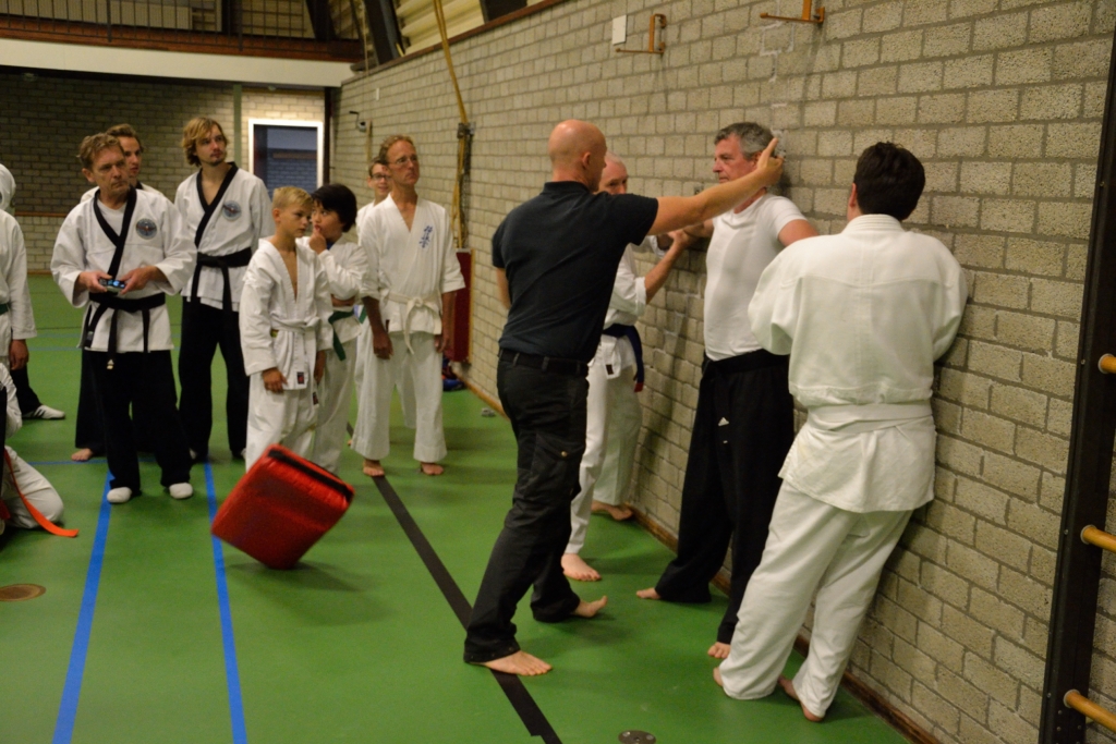 Nederlandse Hapkido Associatie