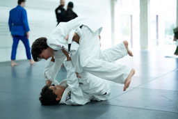 Brazilian Jiu Jitsu Academy Amsterdam (BJJAA) — Amsterdam