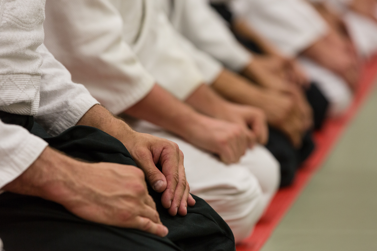 Ki-Aikidovereniging Utrecht