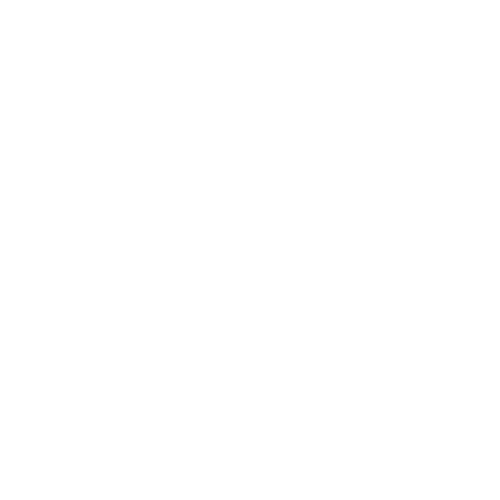 Allround Boxing logo