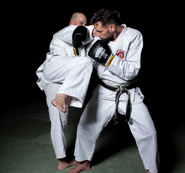 Anjin Ryu Budovereniging