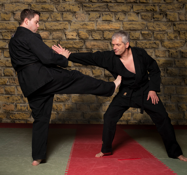 Anjin Ryu Budovereniging