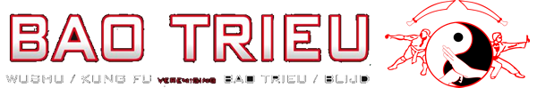 Wushu-vereniging Bao Trieu / Blijd logo