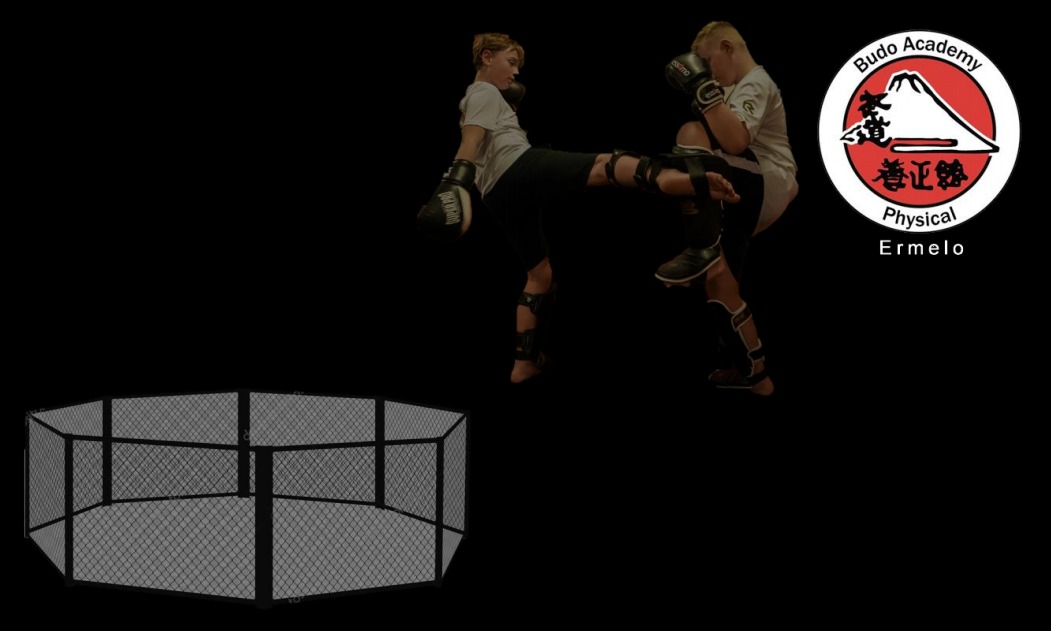 Budo Academy Physical Ermelo