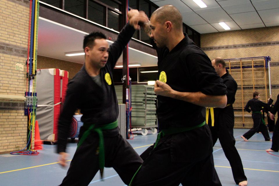 Black Dragon Silat