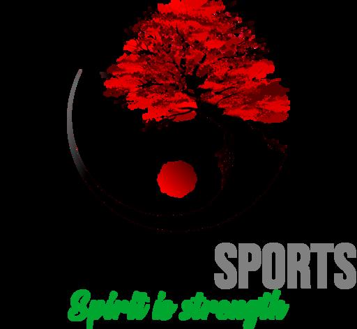 Body & Mind Sports logo