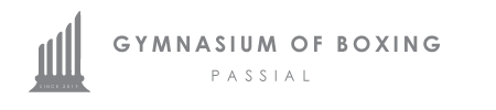 Boxing Passial logo
