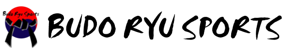 Budo Ryu Sports logo