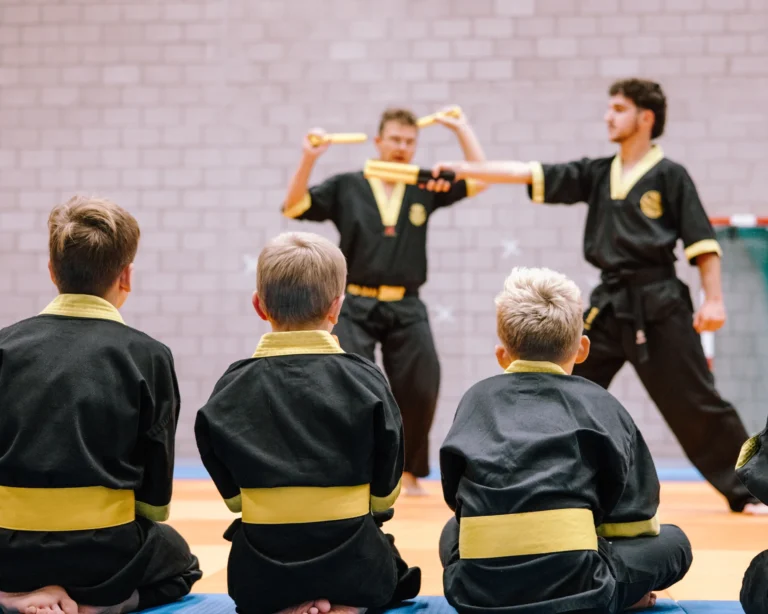 Budo Ryu Sports