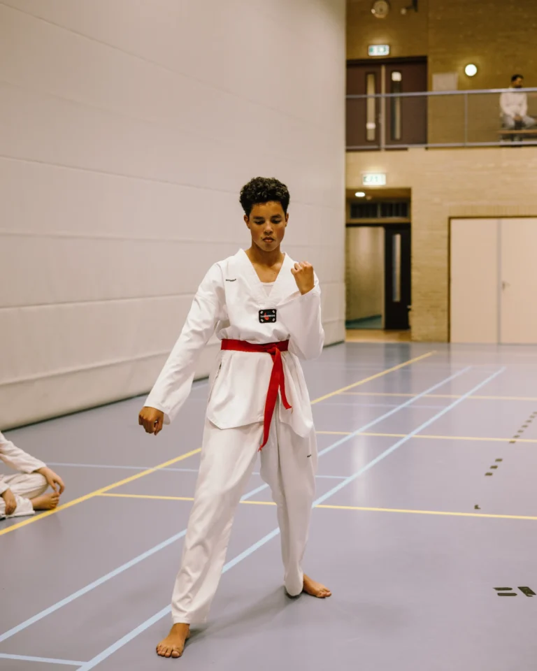 Budo Ryu Sports