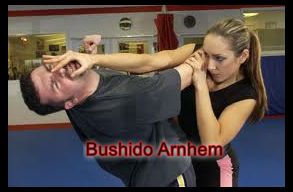 Bushido Arnhem