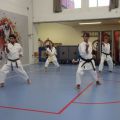 Shin-ju Karate-do Amsterdam