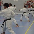 Shin-ju Karate-do Amsterdam — Amsterdam