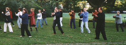 Lakerveld Tai-Chi — Amsterdam