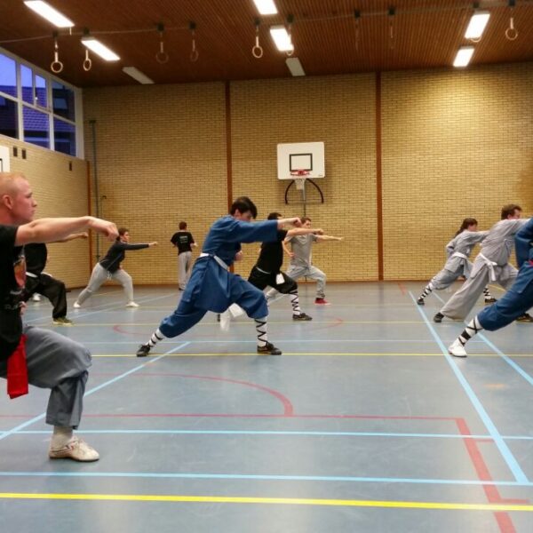 Shaolin Kung Fu He Yong Gan Martial Arts School Apeldoorn