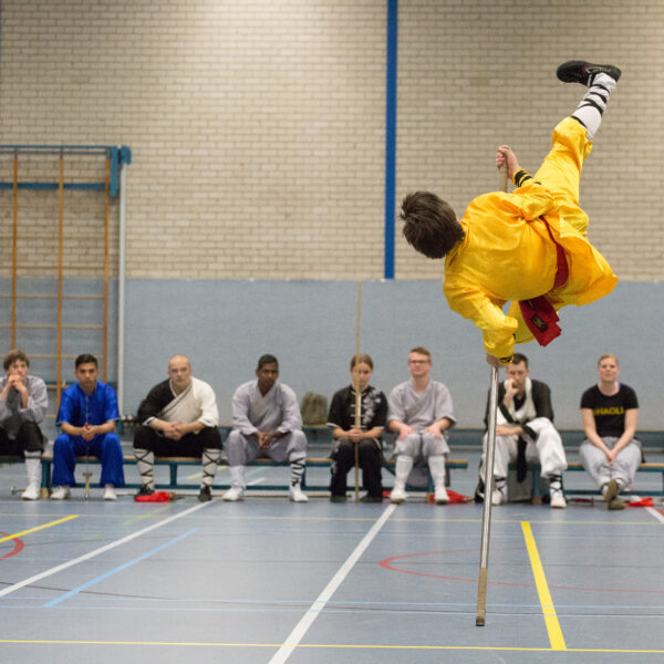 Shaolin Kung Fu He Yong Gan Martial Arts School Apeldoorn