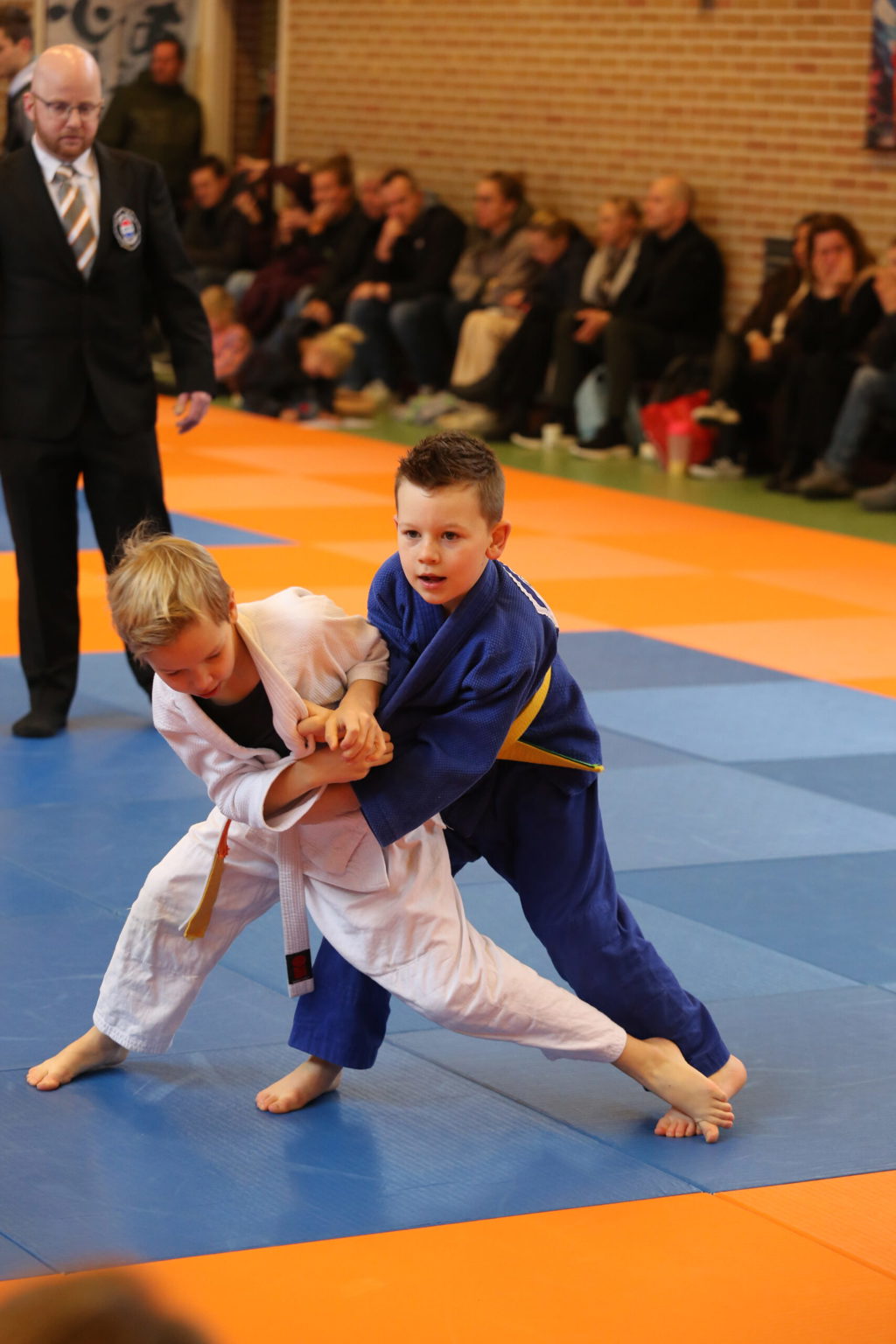Judo Academy Stedendriehoek