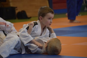 Judo Academy Stedendriehoek