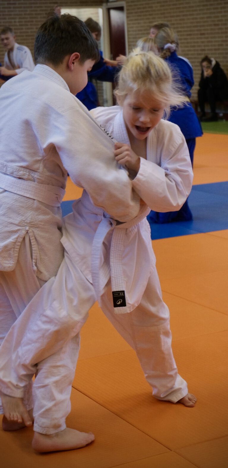 Judo Academy Stedendriehoek