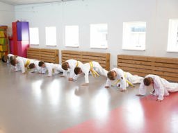 Stichting SportKarate Nederland — Haarlem