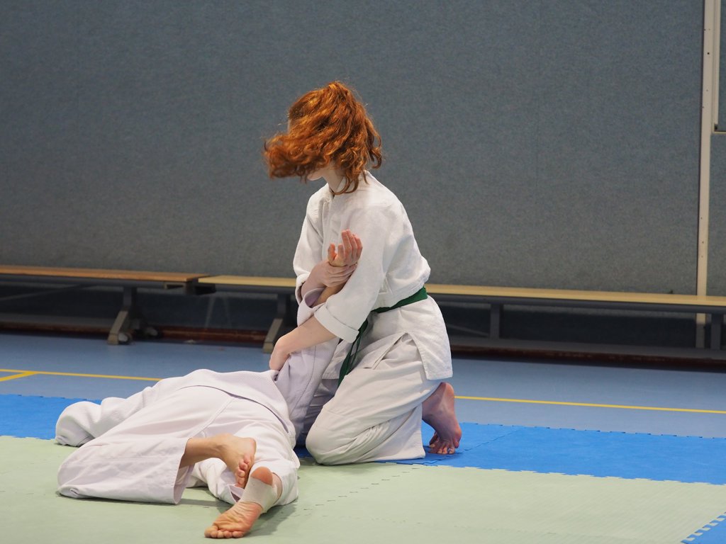 Aikido Stichting Arnhem Jiki Shin Kan