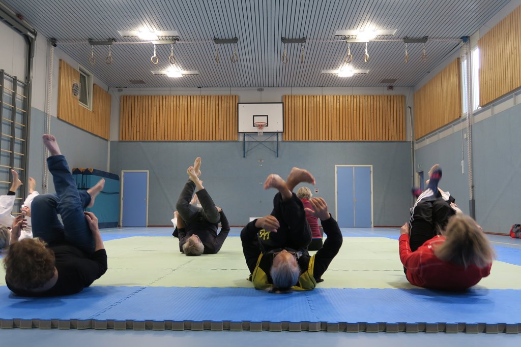 Aikido Stichting Arnhem Jiki Shin Kan